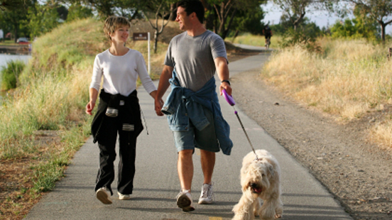 How Four Legs Can Help You Stay Fit